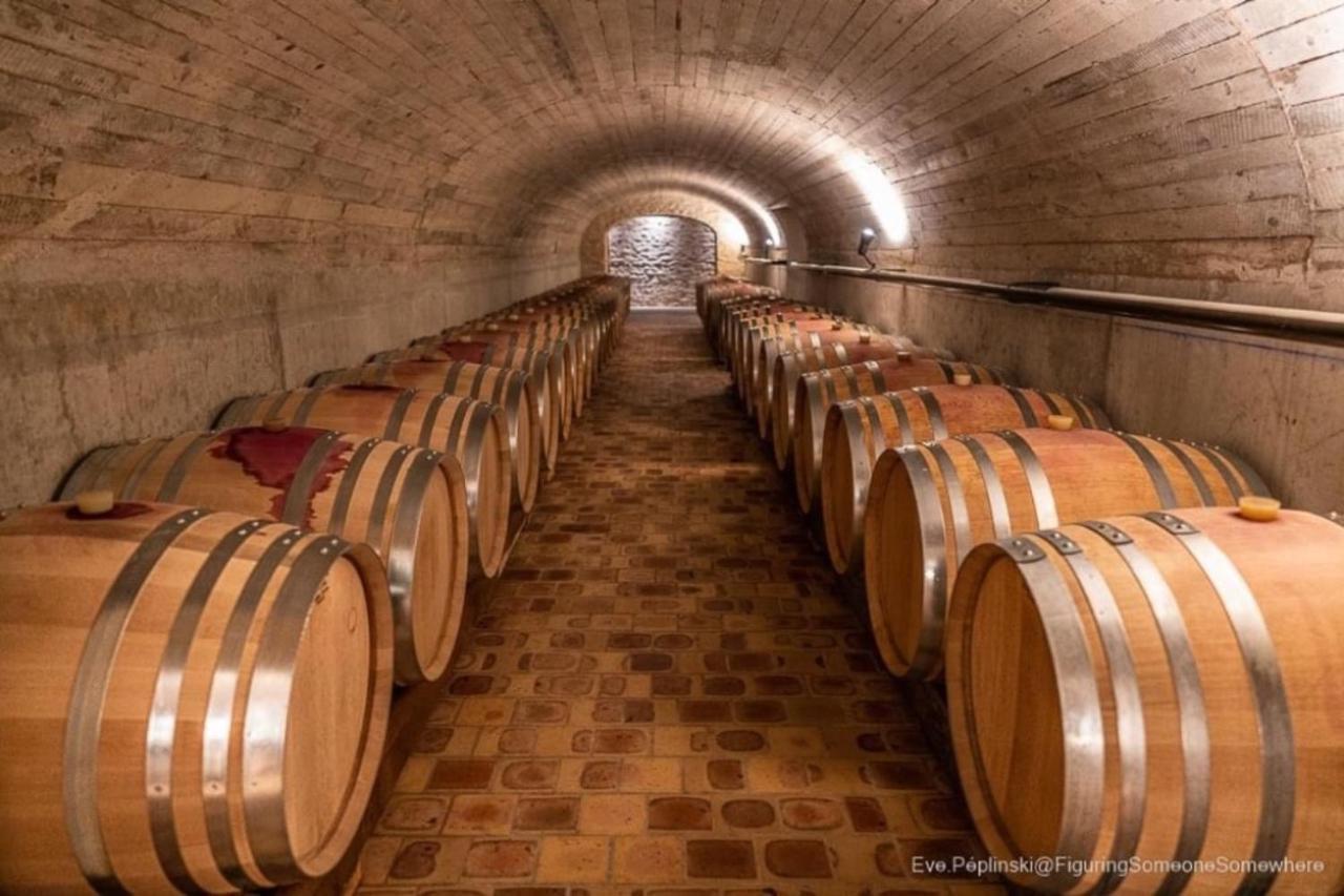 Le Logis St Pere Villa Sancerre Bagian luar foto