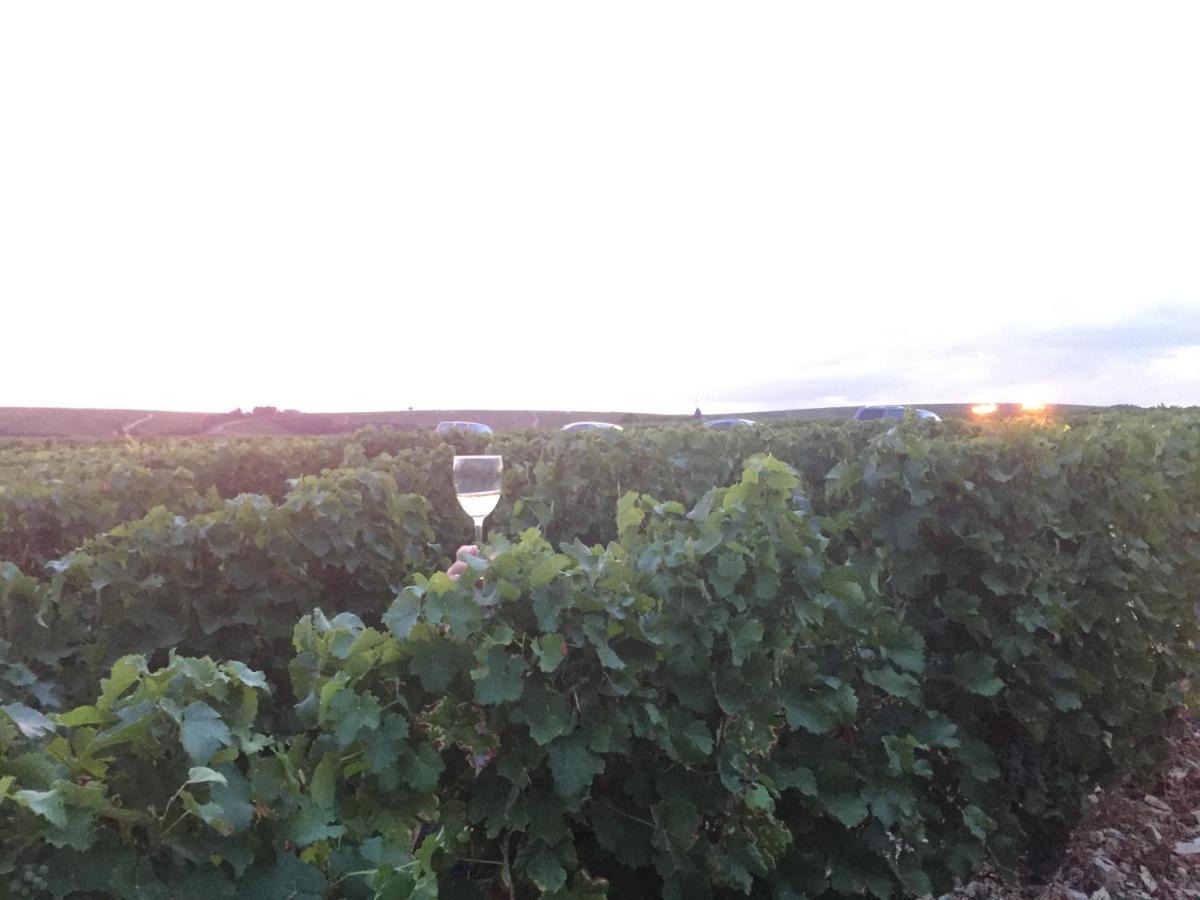 Le Logis St Pere Villa Sancerre Bagian luar foto